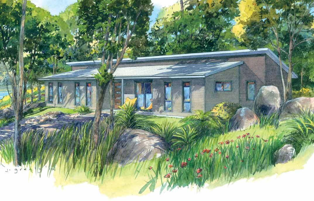 Watercolour render of a contemporary single-level home with skillion roof among native gardens